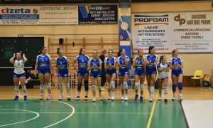 pavic volley