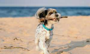 pexels barczakshoots 7947539