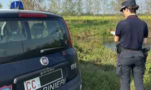 pioppicoltura Agogna