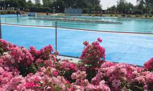 piscina terdoppio