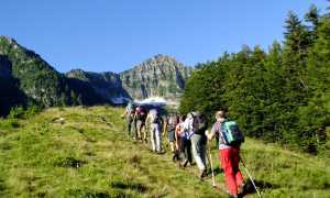pizzo ragno fabbri
