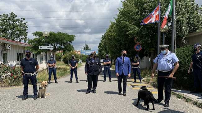 polizia municipale novara nucleo tutela