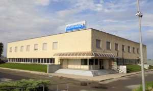 polizia stradale no est