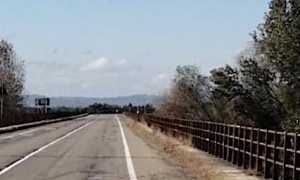 ponte generico