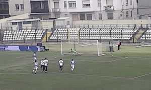 pro 1