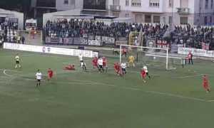 pro azione