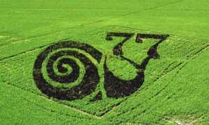 razza77 tornaco