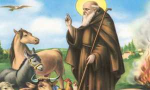 s antonio
