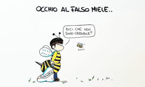 sapo falso miele