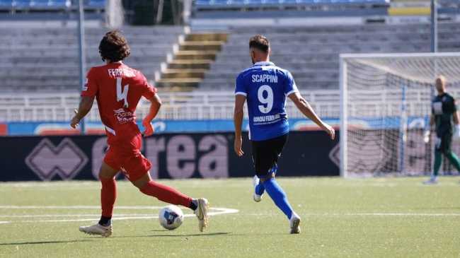 scappini novara fc