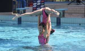 sincro Busto