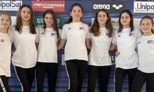 sincro libertas