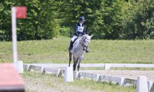 sporting monter mag 25 1