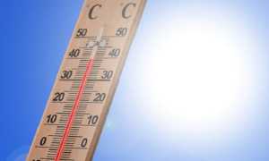 termometro caldo