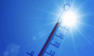 termometro caldo