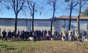 trecate area cani