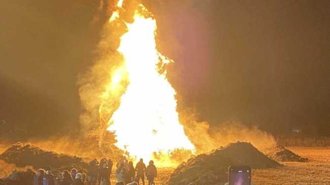 trecate falo s antonio