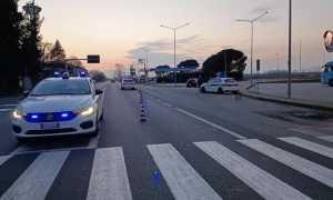 trecate foto arresto