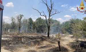 trecate incendio 1