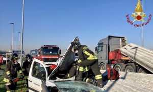trecate incid 1