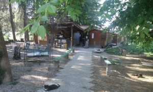 trecate oasi felina
