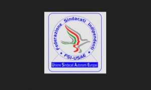 usae logo