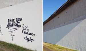 vandalismi trecate