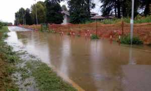 via alzate