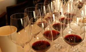 vino
