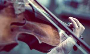 violino mani