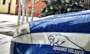 volante novara