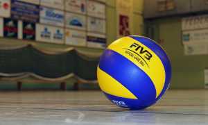 volley palla palestra