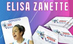 zanette igor