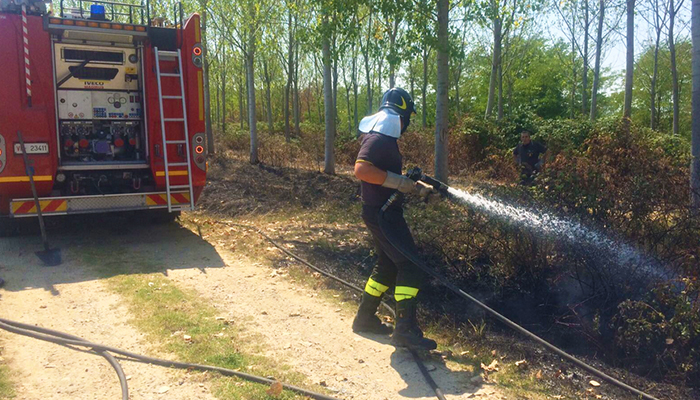 Novara: bruciano 2mila metri quadri di sterpaglie. Intervengono i Vigili del fuoco