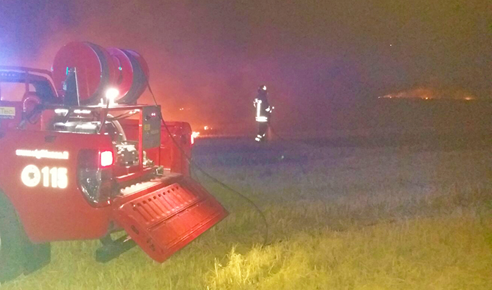 Brutto incendio a sterpaglie e colture, alimentato dal forte vento