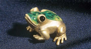 rana oro casalbeltrame