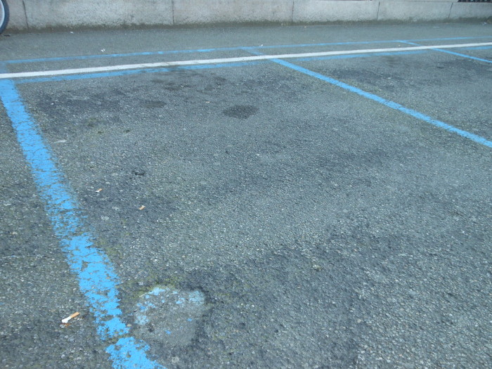 Abbonamento parcheggi Musa: si può rinnovare on line