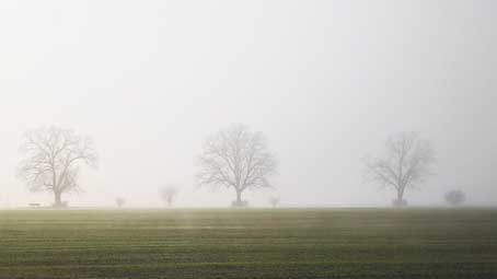 nebbia