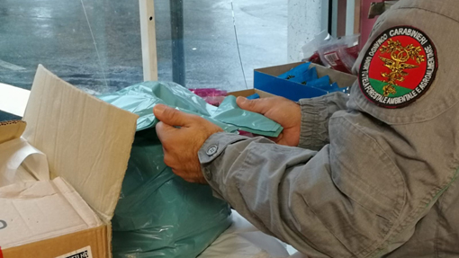shopper cc