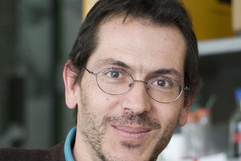 Armando Genazzani