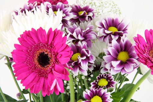 fiori