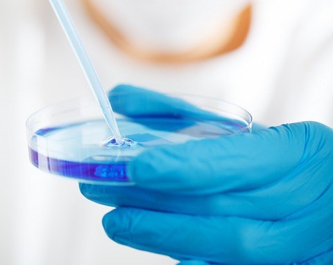 laboratorio