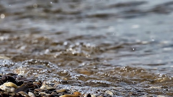 fiume foto