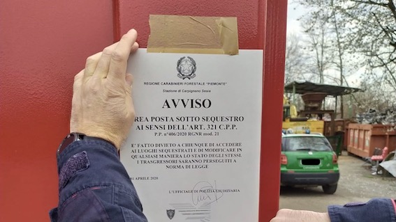 sequestro forestale