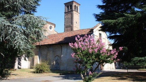 cerano foto