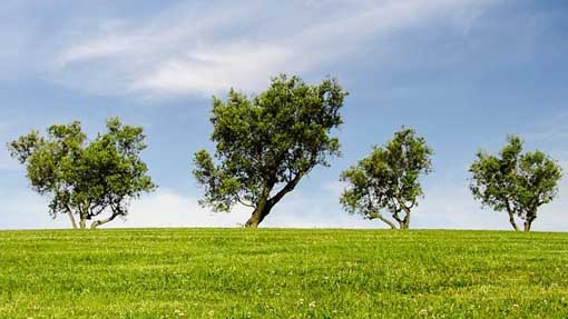 ambiente foto