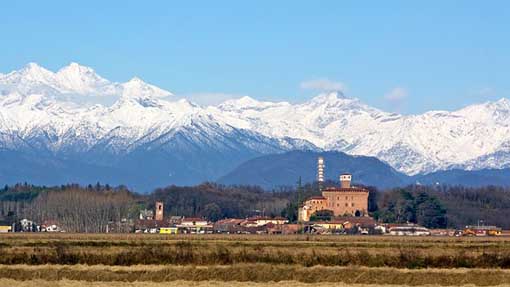 briona foto