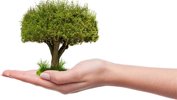 Oleggio: adesione al progetto "Adotta un albero"