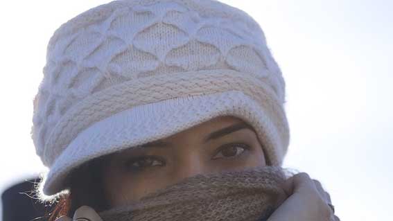 freddo donna