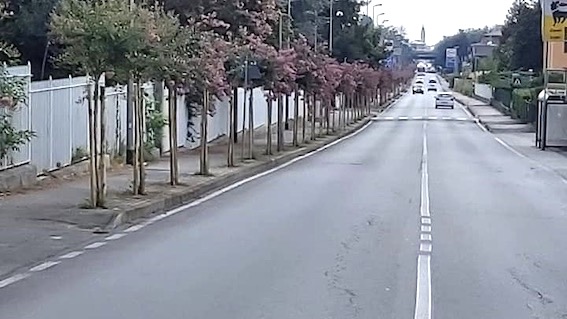 oleggio via novara
